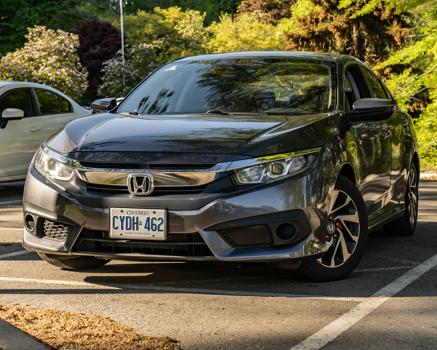 The Ultimate 2025 Honda Civic Guide: Everything You Need to Know Before Buying